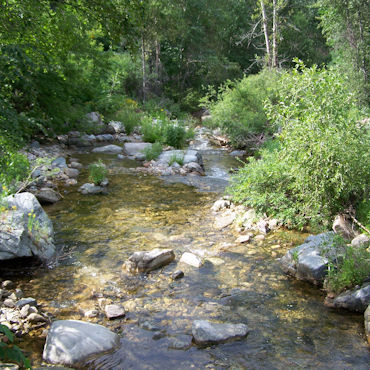 Stream