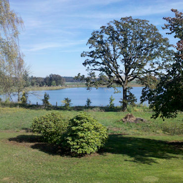 Lakeshore